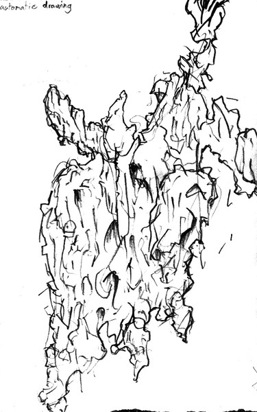 Automatic Rockface