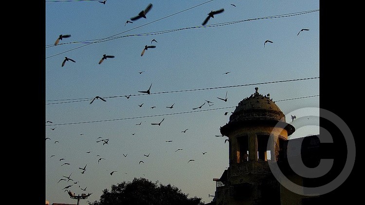 Flight, last light...