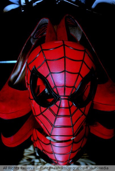 Spider Girl Secerts