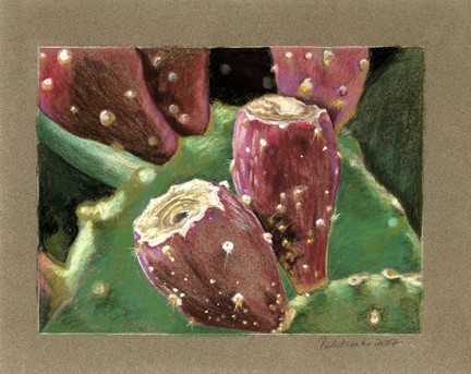cactus fruit