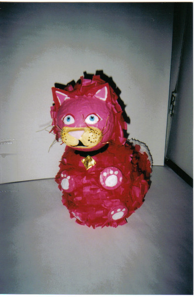 pink cat