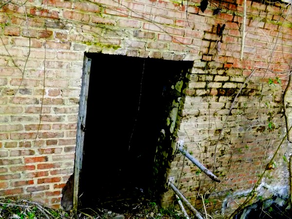 Ruins 