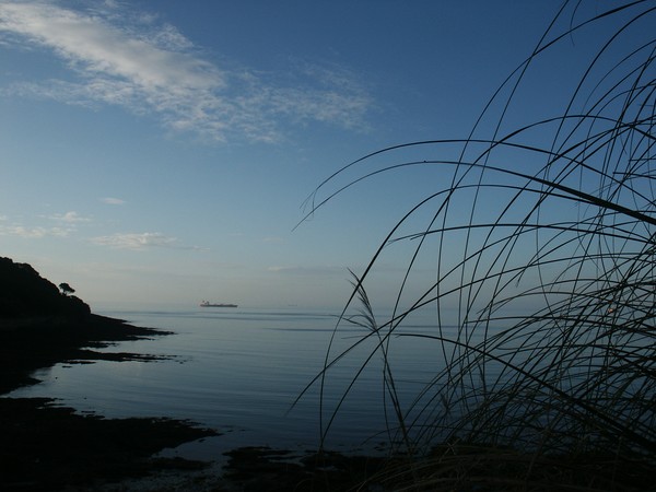 Blue Coast View 