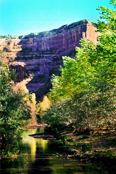 Canyon de Chelley Stream