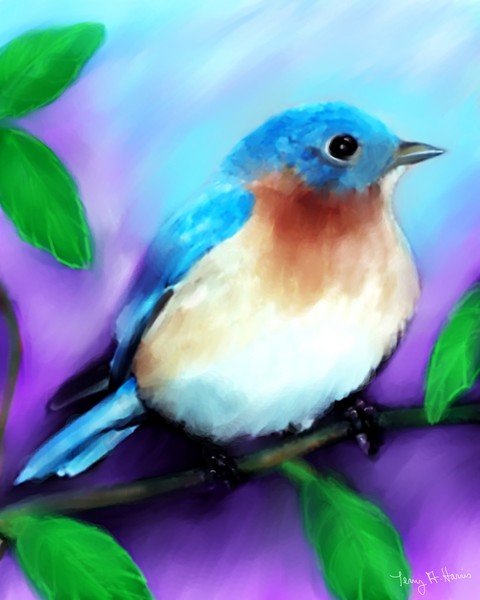 Blue Bird