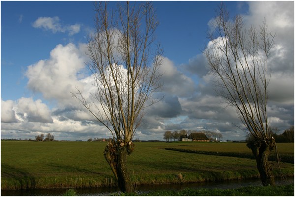 Hollands best
