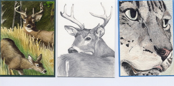My first aceo's ,TWO SOLD