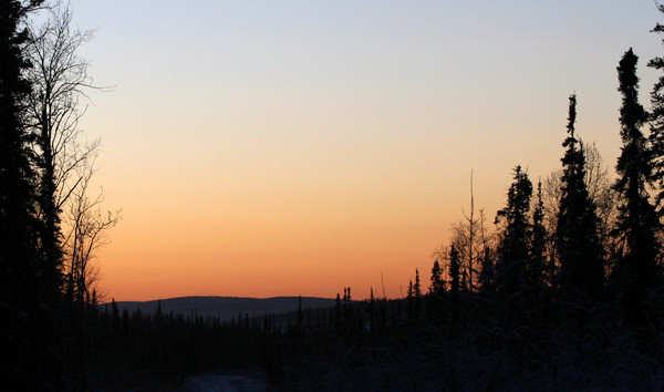 Arctic Afternoon