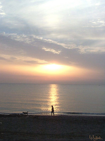 Walking the Dog