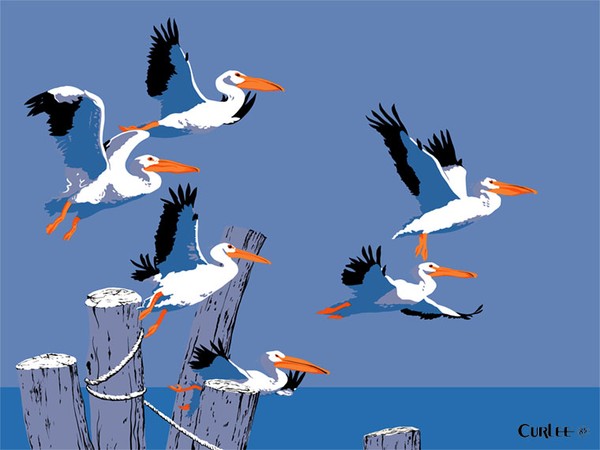 Pelicans Seascape Beach Painting