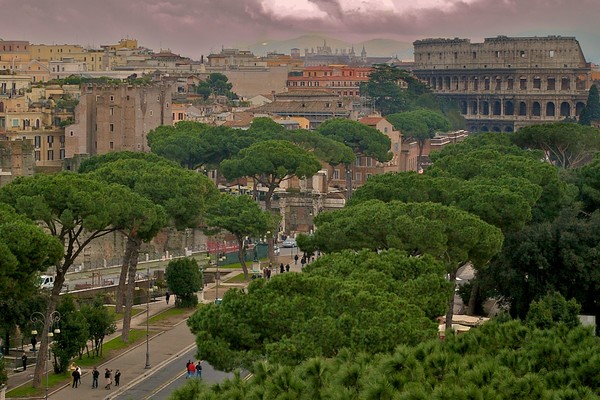 The Colosseum and Palatine
