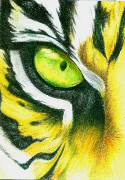 Tiger Eye