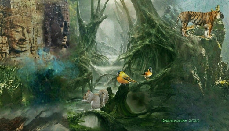 The Lost Meditative Path * 2020 Kiddolucaslee 