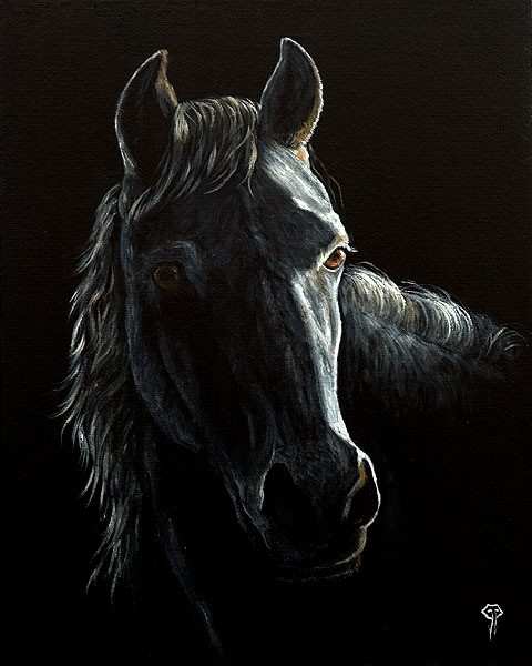 Horse in The Night