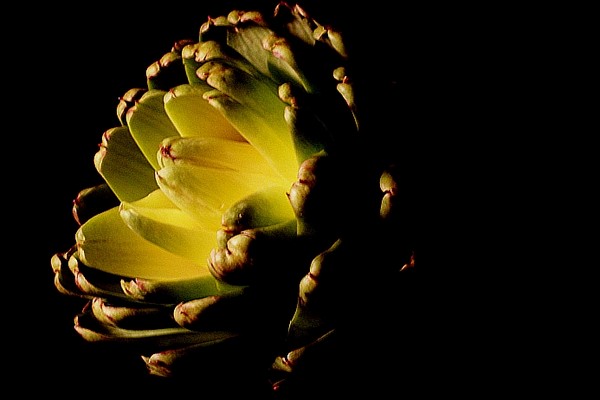 'Choke in the Dark
