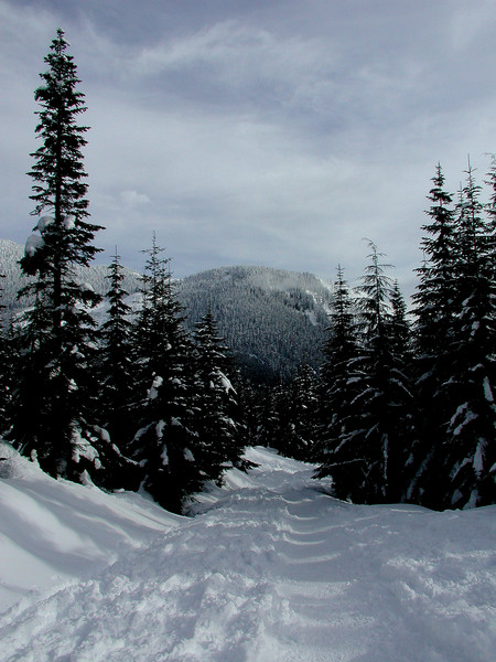 Snow Mountain