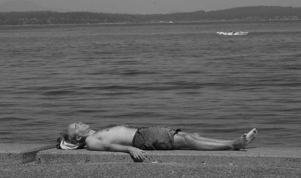 The Daydreamer