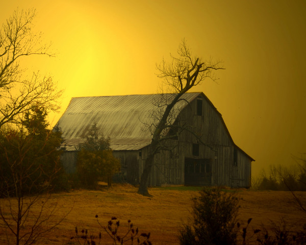 Sweet Sunrise