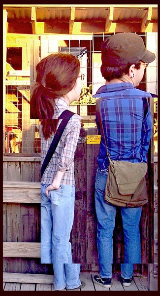 sara & steve