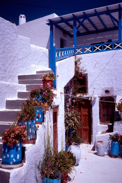 white and blue