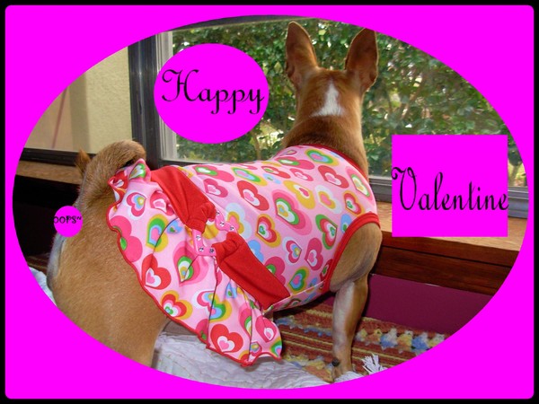 My Grouchy Valentine . . .