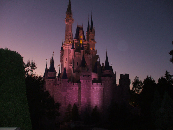 A Magical Night