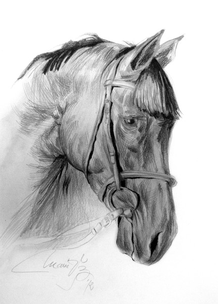 Blaga's Horse