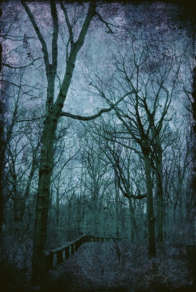The Blue Path