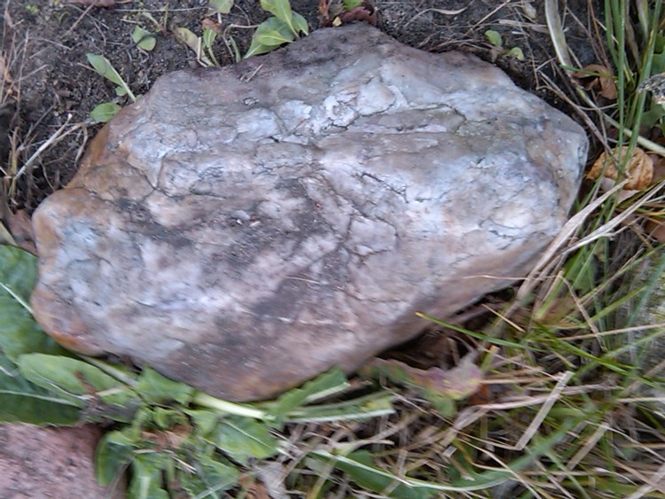 IMG01382-20101121-1340