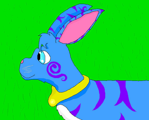 My Rabbit