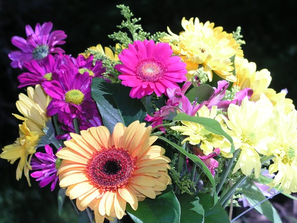 Floral #5