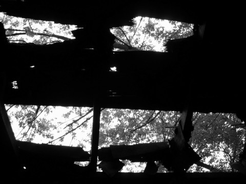 daylight