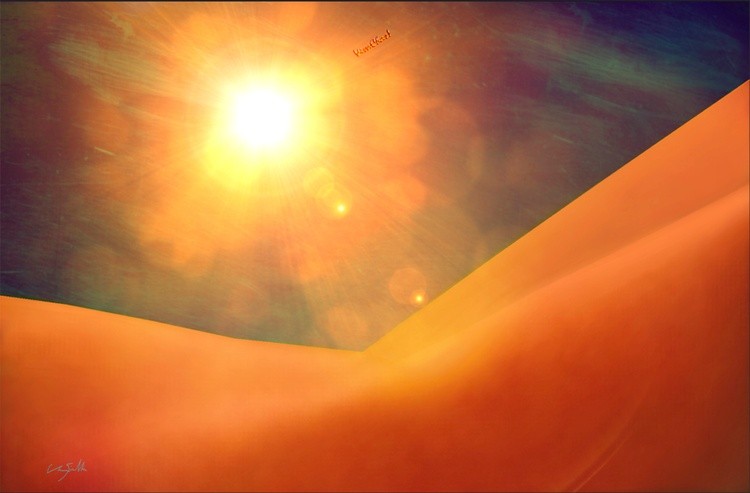 My Summer Vacation in the Sun