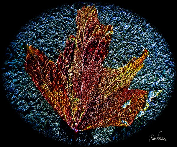  A Leaf of stone ! ( Sunday play )