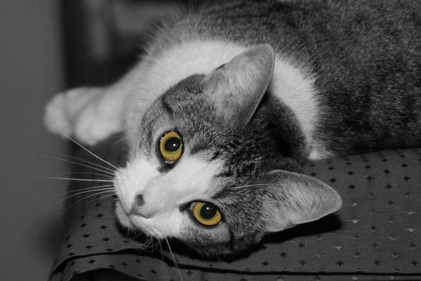 My two little green eyed girls #2#