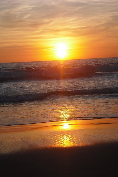 Seaside Love
