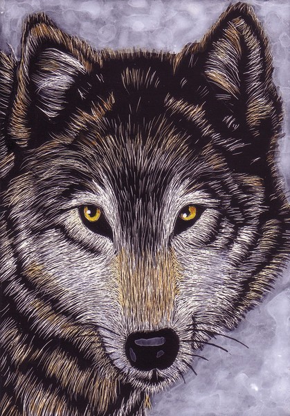 'Winter Wolf