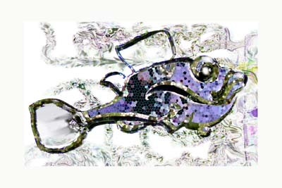 glass fish