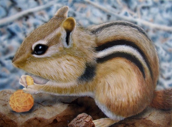 Chipmunk