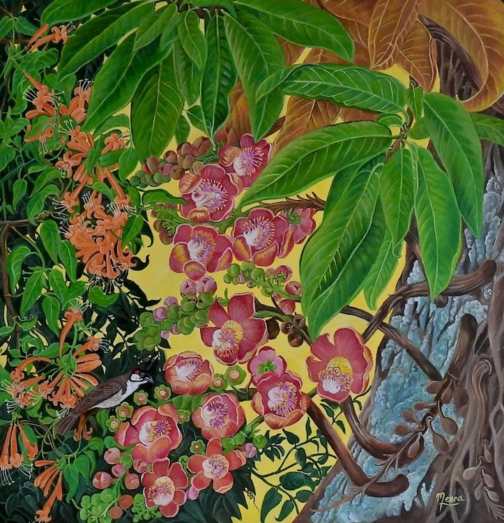 Cannonball tree