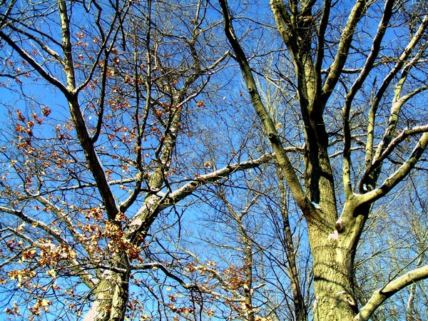 Spring losing its strength