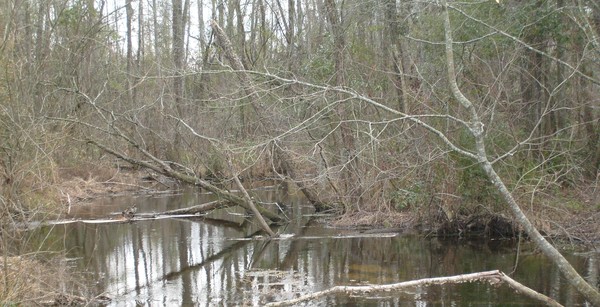 Still Water runs deep.
