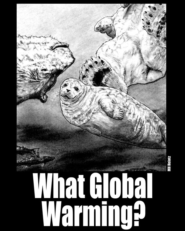 What Global Warming? 1