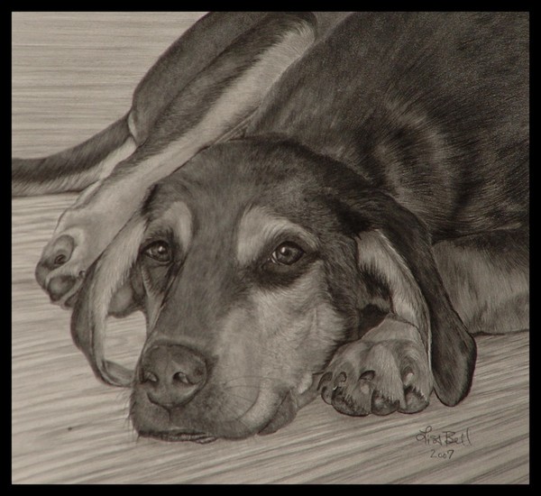 New Dog---Old Tricks