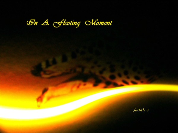 In A Fleeting Moment