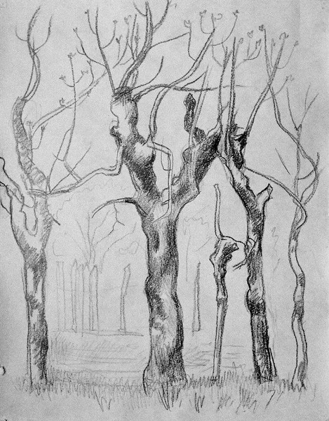 Trees