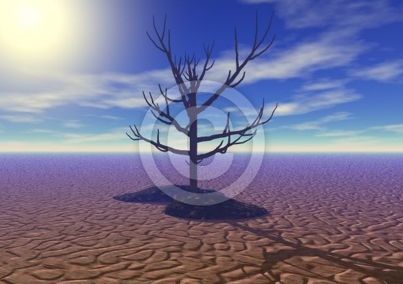 Solitude