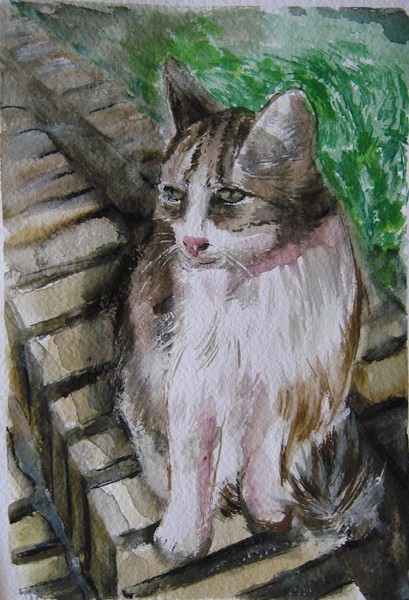 the cat on the wall