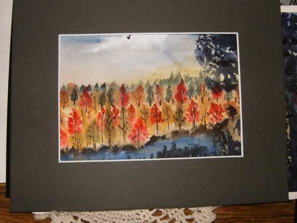 Fall Colors