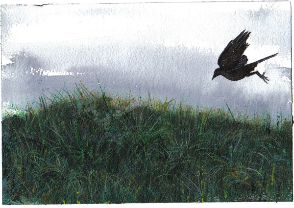 after the rain
